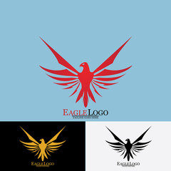 Falcon Eagle Bird Logo Template Vector Icon