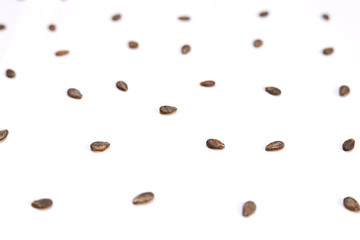 Watermelon seeds isolated on white background. Flat lay. Black seed Pattern. Food concept. Close up