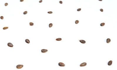Watermelon seeds, macro isolated on white background, top view