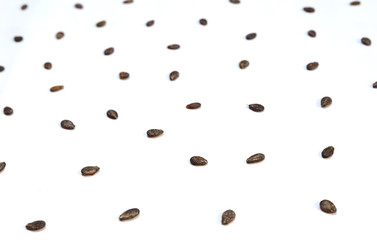 Multiple watermelon seeds, composition isolated over the white background, top view