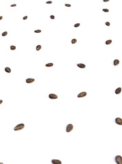 Watermelon seeds on a white background.