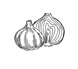 Garlic and onion half in line art style.