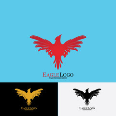 Obraz premium Falcon Eagle Bird Logo Template Vector Icon