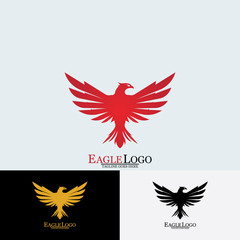 Falcon Eagle Bird Logo Template Vector Icon