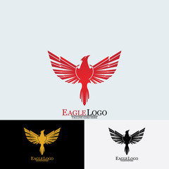 Falcon Eagle Bird Logo Template Vector Icon