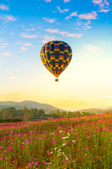 Hot air balloon over cosmos flowers with blue sky