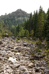 Obraz premium Arado river, Peneda Gerês National Park, Portugal