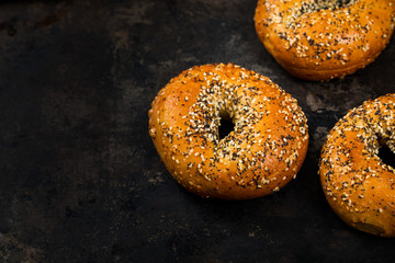 Freshly Baked Breakfast Bagels Topped with Sesame Seeds, Poppyseeds, Garlic and Onion on Old Dark Rusty Metal Background. Selective focus.