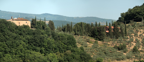 Tuscan agricultural landscape in Summer sunshine, region of Florence