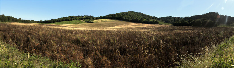 Obraz premium Tuscan agricultural landscape in evening light