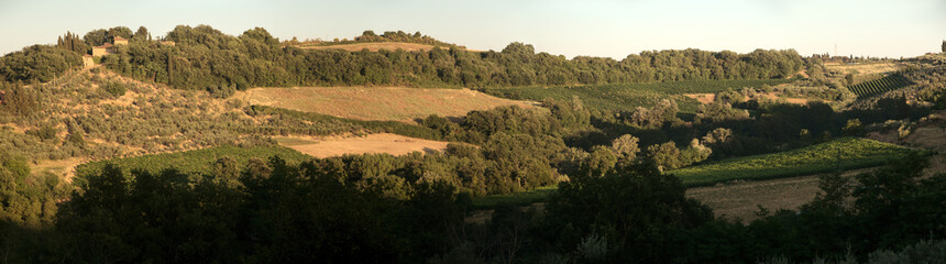Fototapeta na wymiar Tuscan agricultural landscape in evening light