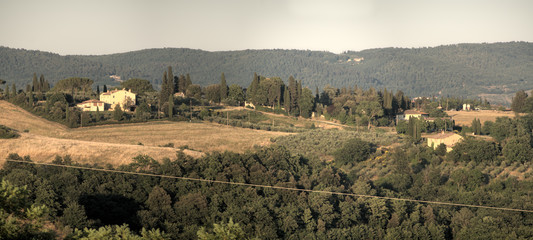 Tuscan agricultural landscape in evening light