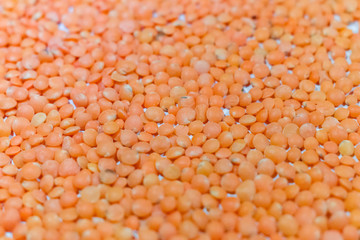 Cozy Red Lentil Mash.