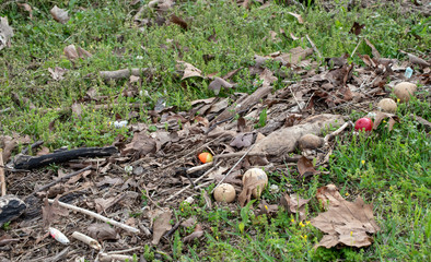 The aftermath of a recent flood at the lake leaves debris, gourds and fishing bobbers scattered along the shore and a lot of cleanup work to do. Bokeh.