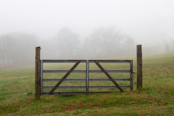 Fototapeta premium An old metal farm gate without a fence at the edge of a meadow on a foggy morning. Gate to nowhere.