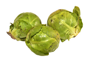 head of cabbage isolated on white background