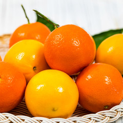 Mandarin and Lemon Oranges. Meyer lemon Hybrid Citrus Fruit Native to China. Selective focus.