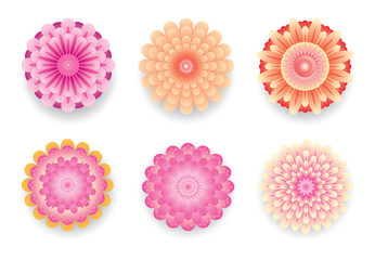 flower collection,  isolated on white, vector design