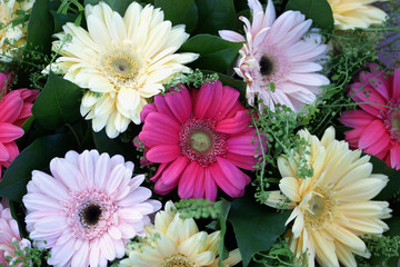 Beautiful bouquet with multi-colored large gerberas