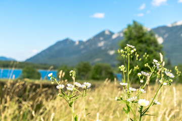 Fototapeta premium Mountainview at Geroldsee