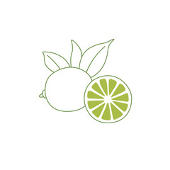 Simple Lime Line Vector Drawing on White