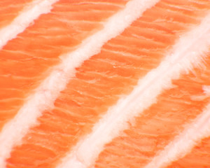 MEXICO CITY,  MEXICO - FEBRUARY 03, 2019. Closeup view of a slice of fresh salmon. Commonly served as sashimi and sushi dishes in japanese cusine.