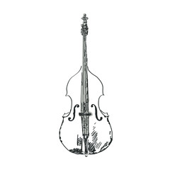 Jazz double bass on a white background. Black and white vector illustration of an isolated double bass. Drawing sketch.