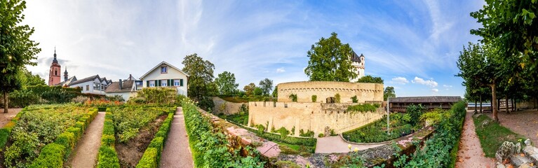 Fototapeta na wymiar Panorama, Burg, Eltville am Rhein, Hessen, Deutschland 