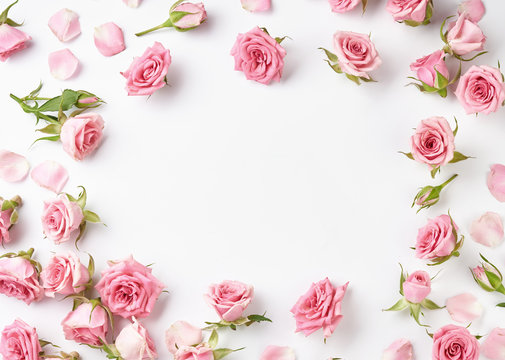 Rose Background Photos and Wallpaper for Free Download