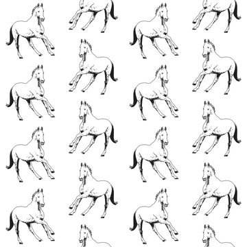White horse drawn in black outline on a white background. Seamless pattern