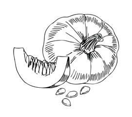 Pumpkin with slice in line art style.