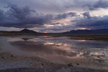 Grimshaw Lake Natural Area near Tecopa in California. This is an area of critical environmental concern. This salty group of ponds and small lakes is an oasis for migrating birds.