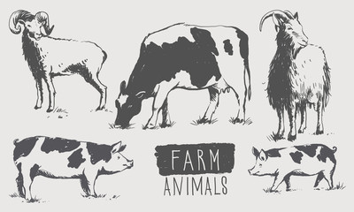 Farm animals. Set of sketches in vintage style on an isolated background..