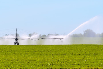 A working sprinkler for irrigation of fields in the steppe zone. Water jets and splashes over a green agricultural field under a clear blue sky on a hot sunny summer day.