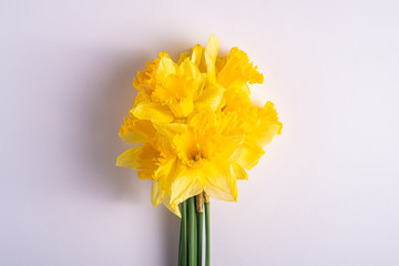 Daffodil flowers bouquet on white background, copy space, top view