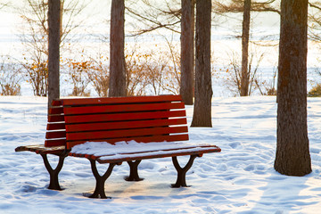 Bench in the park covered by snow