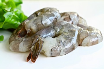 Fresh Raw shrimp close up white background