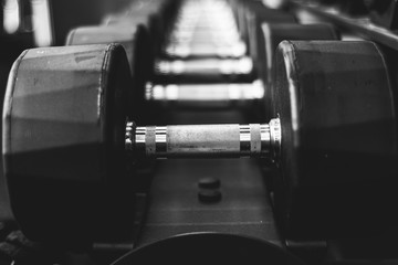 dumbell rack