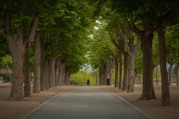Obraz premium view of walk in a park in San Lorenzo del Escorial Spain