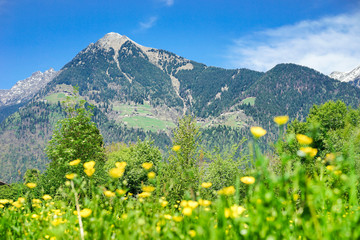 Landschaft bei Meran in Südtirol, Italien