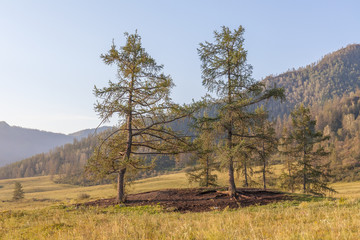 Summer View of Altai, Russia. Altai Republic is one of Russia's ethnic republics. Altay