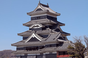 Fototapeta premium 春の松本城の風景