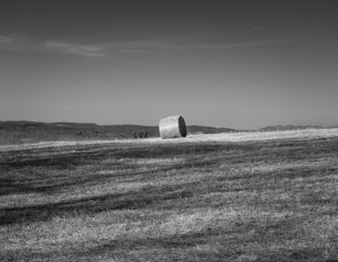 Solitary Hay Bale in Black and White - 332722745