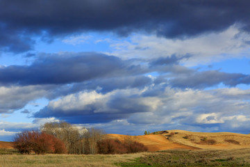 Coming Storm