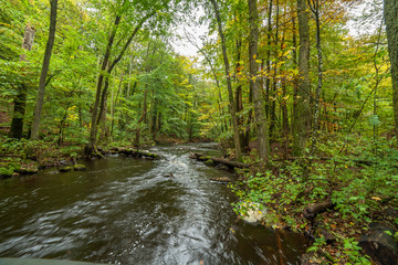 Stormy river flowing through the spring forest.selective focus, long exposure.