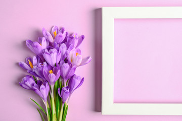 Composition of purple crocus flowers and blank frame on purple background. Copy space. Flat lay. Top view.