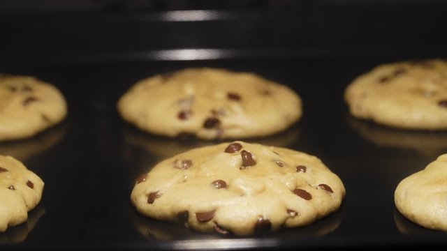 Baking of chocolate chip cookies in oven. Melting dough and chocolate turning into fresh delicious and homemade treat. Time lapse video