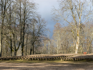landscape with rows of wooden benches in the park