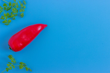 Set fresh vegetables,  peppers on a blue background.  Healthy food concept. Flat lay, top view. Copy space for text