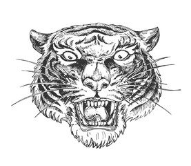 Angry wild growling tiger face